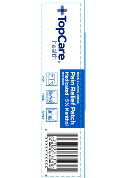 100% (Pain Relief Patch Packaging Label)